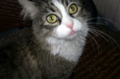 2010_09.14 Boulder - yarra